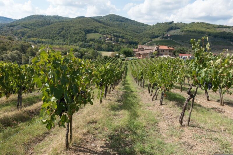 From Florence: Wine Tour in Siena and Tuscan Countryside - The Sum Up