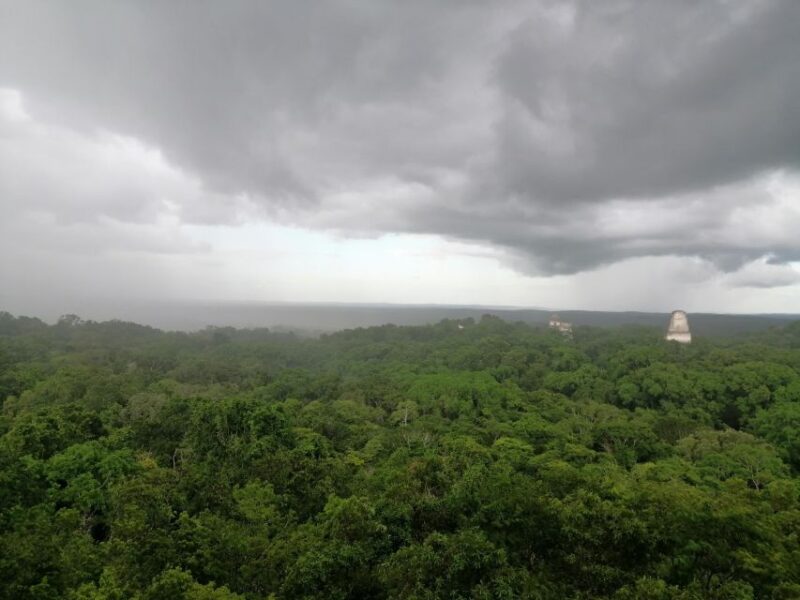 From Flores: Exclusive Tikal Group Tour - Itinerary and Schedule