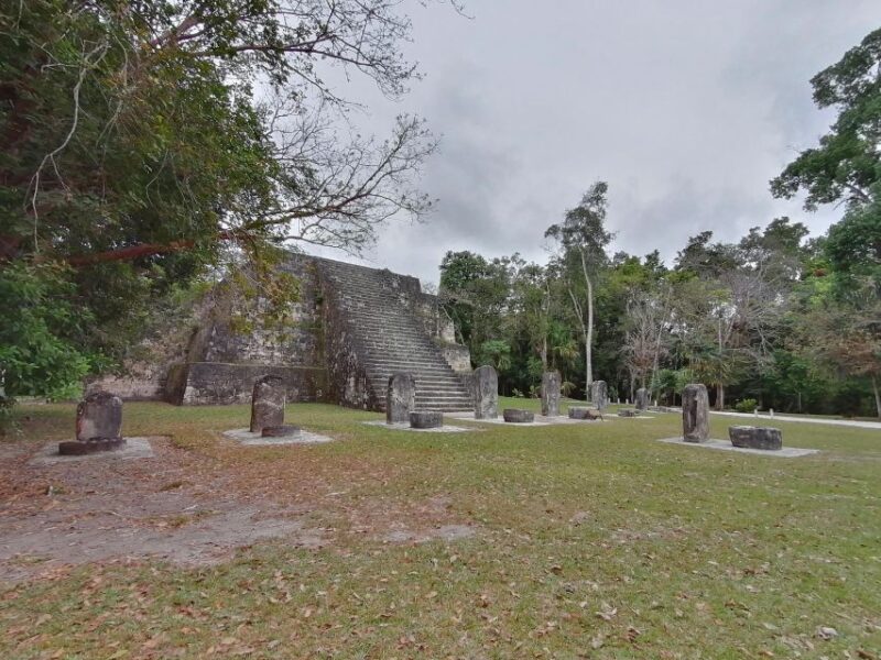 From Flores: Tikal Private Tour for Groups - Tikal National Park Facts