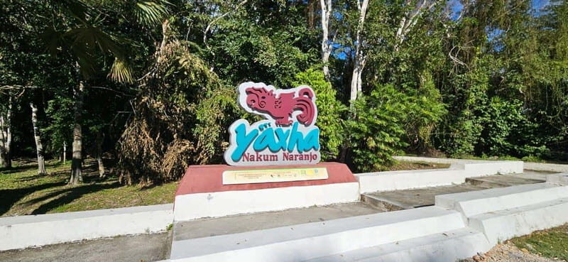 From Flores: Yaxha + Topoxte All-Inclusive Private - Introducing the Yaxha + Topoxte All-Inclusive Private Tour