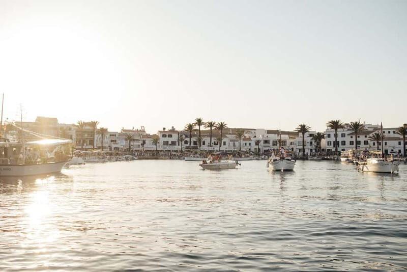 From Fornells: North Coast Beaches Cruise with Swim Stops - The Sum Up