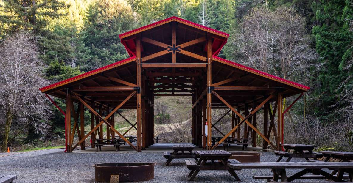 From Fort Bragg: Redwoods Train Ride and Nightclub Ticket - Key Points