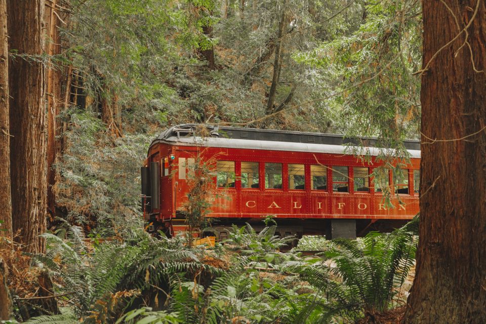 From Fort Bragg: Redwoods Train Ride and Nightclub Ticket - Details of the Train Ride