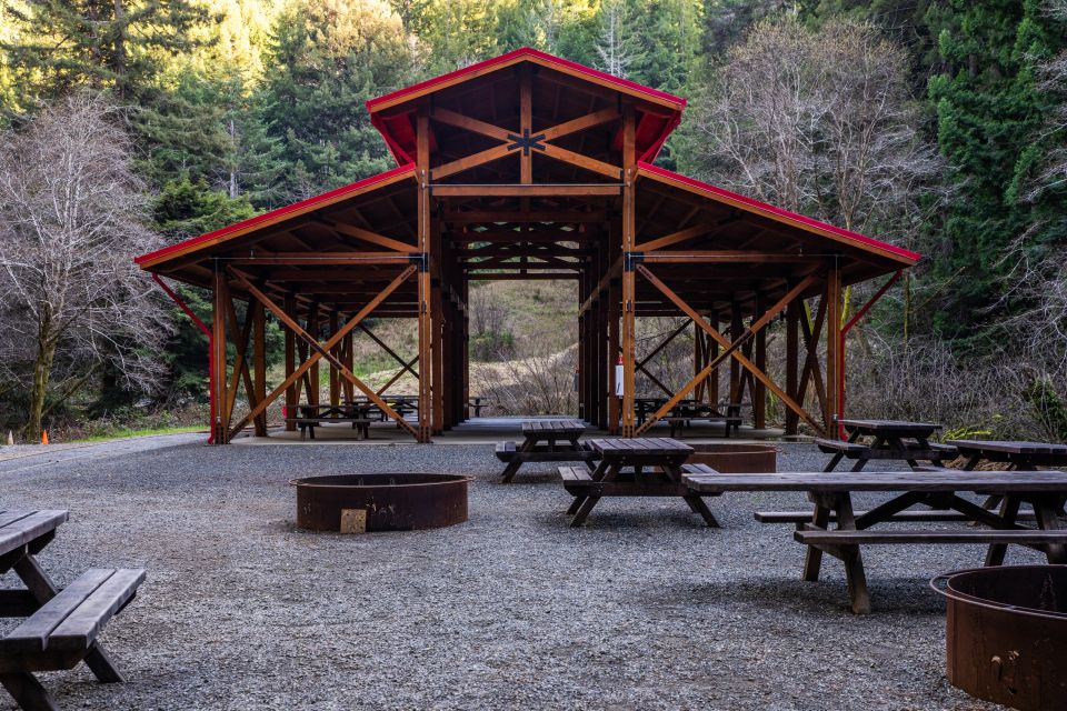 From Fort Bragg: Redwoods Train Ride and Nightclub Ticket - Drinks and Snacks Available