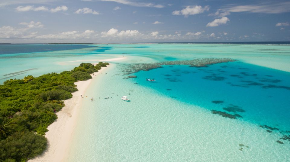 From Fort Lauderdale: Bahamas Full-Day Trip by Ferry - Key Points