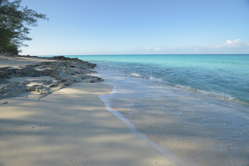 From Fort Lauderdale: Day Trip to Bimini - Starting Locations