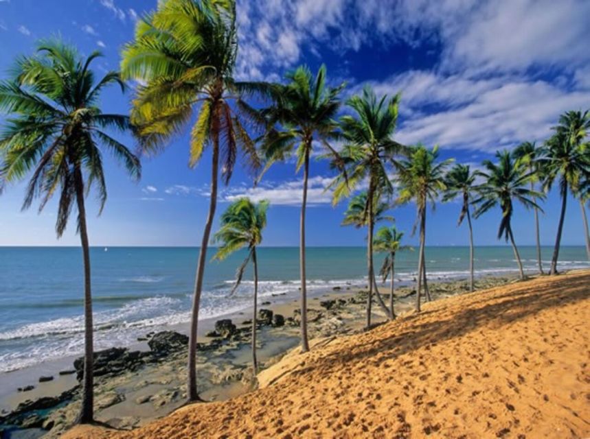 From Fortaleza: Lagoinha Beach Day Trip - Experience Highlights