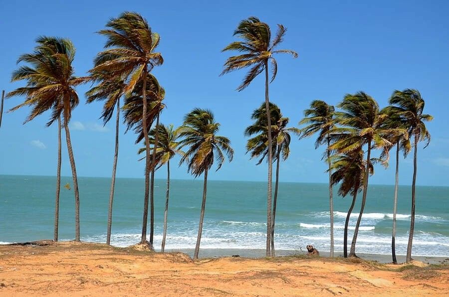 From Fortaleza: Lagoinha Beach Day Trip - Nearby Attractions
