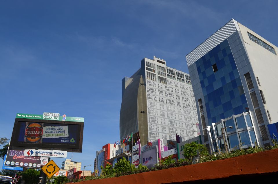 From Foz Do Iguaçu: Ciudad Del Este Shopping Tour - Tips for Travelers