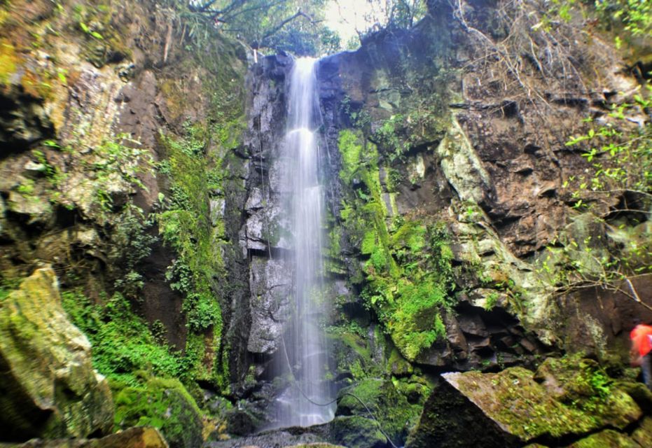 From Foz Do Iguaçu: Secret Falls Adventure - Highlights of the Tour