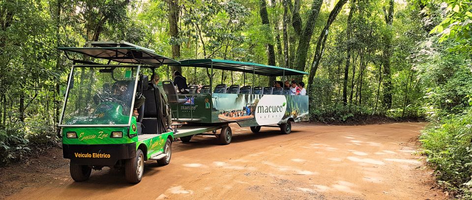 From Foz Do Iguazu: Brazil Iguazu Falls & Macuco Safari Boat - Payment Options Available