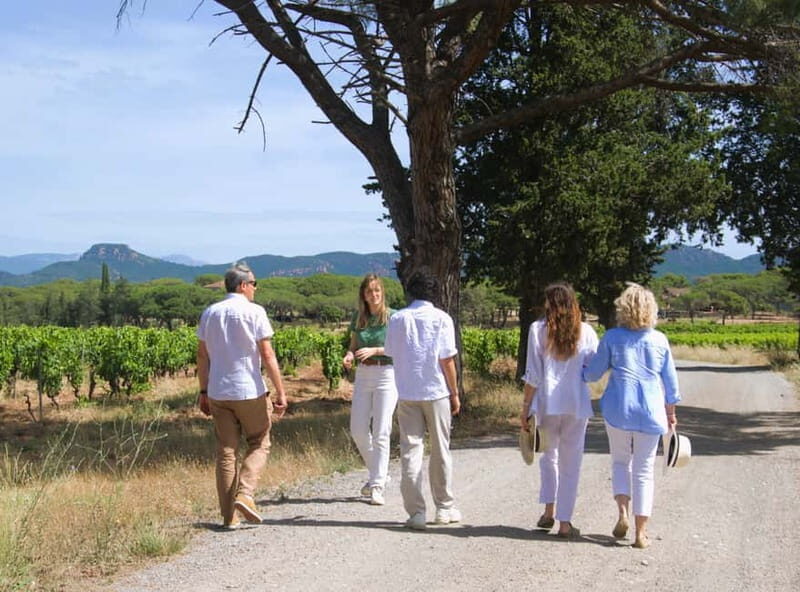 From Fréjus: Van tour to the heart of the Provençal vineyards - What to Know Before You Go