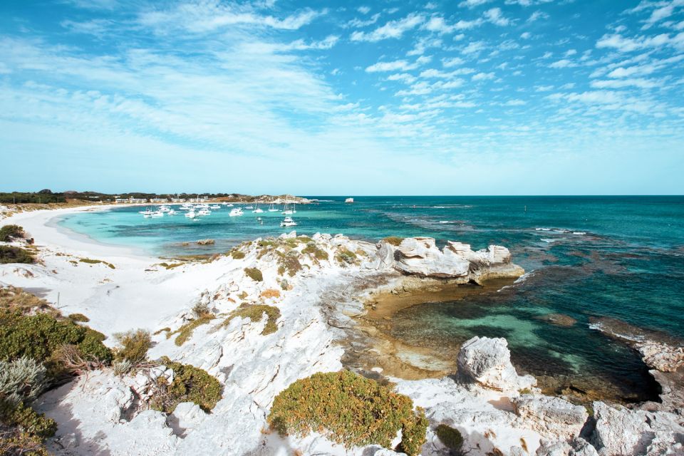 From Fremantle: Rottnest Island Ferry & Admission Ticket - Important Guidelines and Information