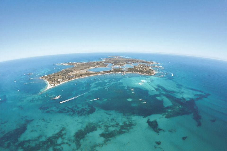 From Fremantle: Rottnest Island Ferry & Admission Ticket - Recap