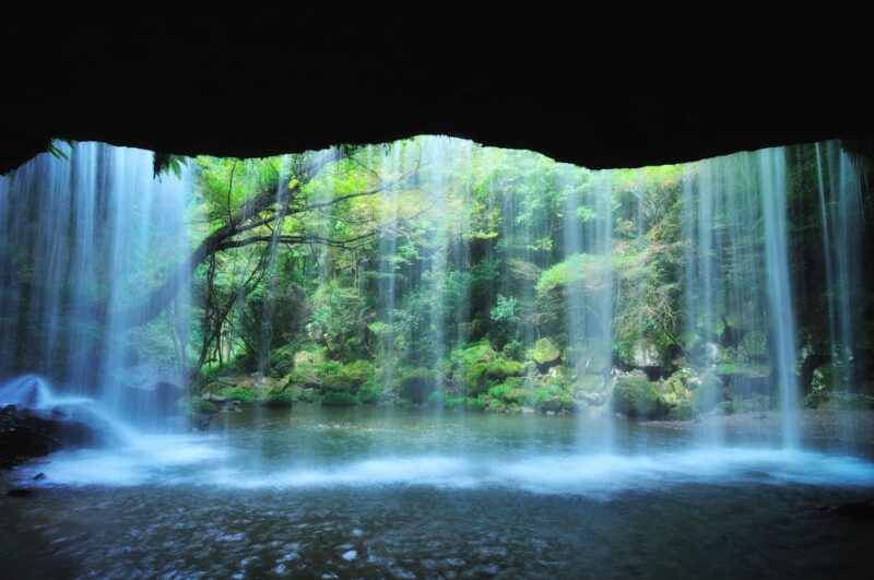 From Fukuoka: Private Customized Nature Tour of Kumamoto - Highlights of Kumamoto
