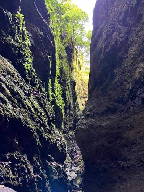 From Funchal: Advanced Canyoning Experience in Madeira - Who Should Consider This Tour?