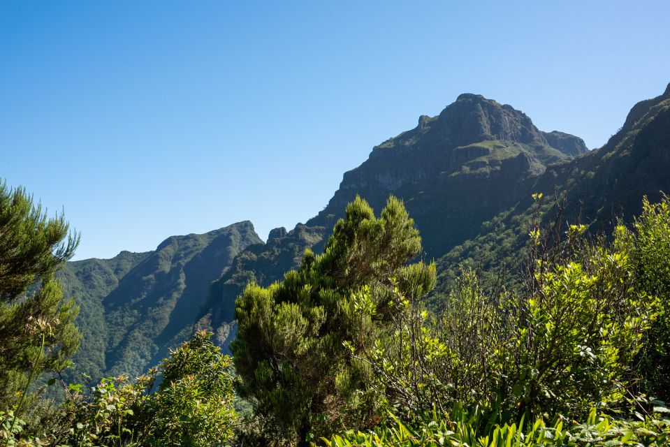 From Funchal: Best of Madeiras West Tour - Reviews