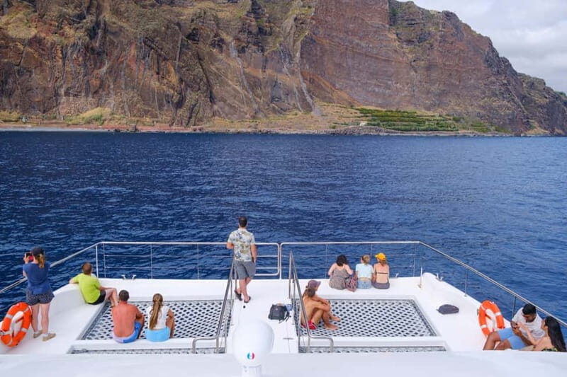 From Funchal: Ecological Catamaran Dolphin Whale Watching - The Value and Why It Stands Out