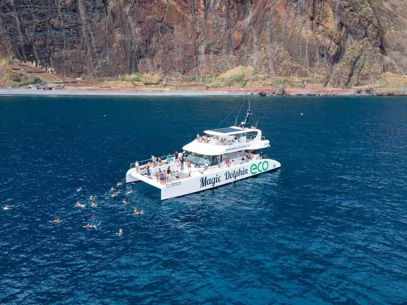 From Funchal: Ecological Catamaran Dolphin Whale Watching - The Sum Up: Why This Tour Is Worth Considering