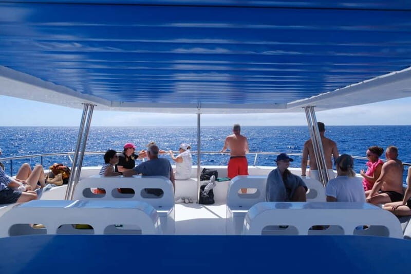 From Funchal: Ecological Catamaran Dolphin Whale Watching - FAQ