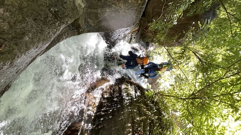 From Funchal: Intermediate Canyoning Adventure (Level 2) - Who Will Enjoy This Tour?