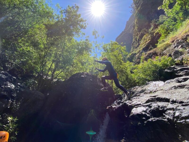 From Funchal: Intermediate Canyoning Adventure (Level 2) - Final Thoughts: Is It Worth It?