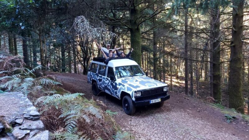 From Funchal: Jeep Tour with Madeira Wine Tasting - An Authentic Madeira Adventure in a Classic Jeep