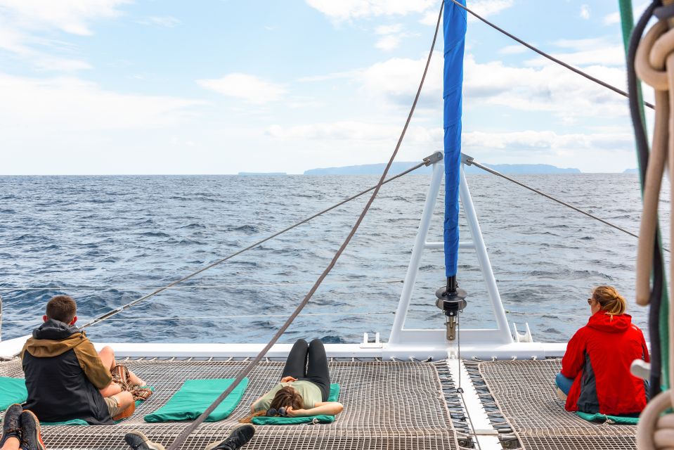 From Funchal: Madeira Dolphin and Whale Watching Tour - Exploring Madeiras Marine Life