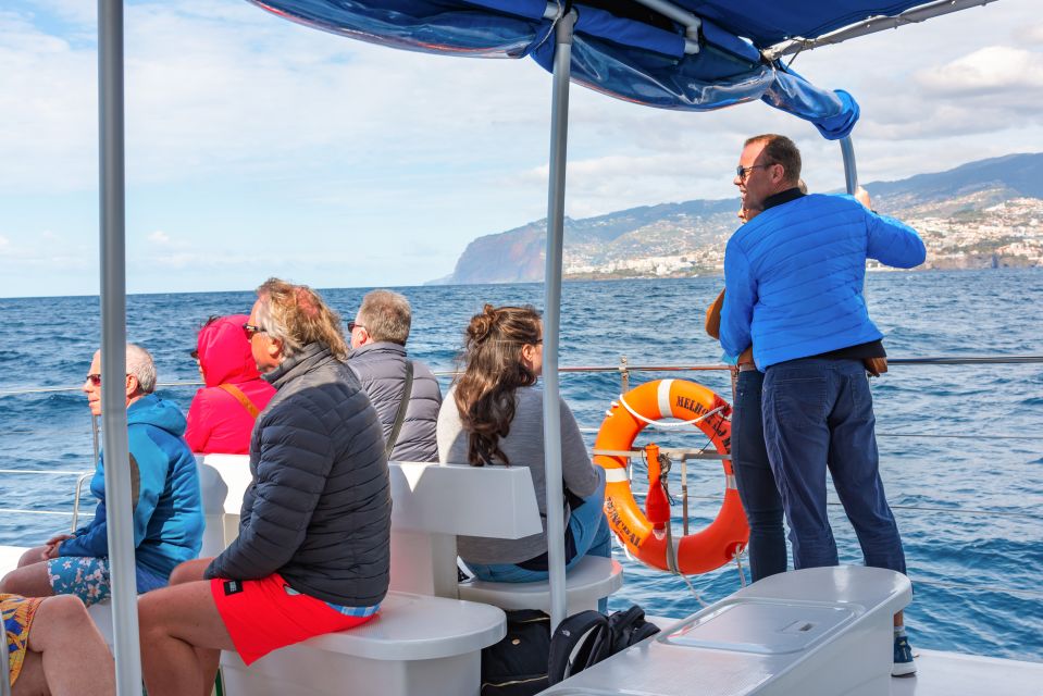 From Funchal: Madeira Dolphin and Whale Watching Tour - Preparing for the Tour