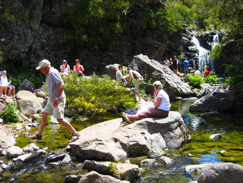 From Funchal: Madeira Lakes Levada Guided Hike - Inclusions and Exclusions