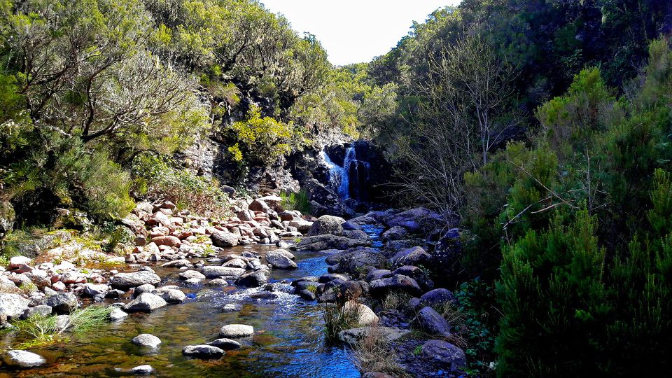 From Funchal: Madeira Lakes Levada Guided Hike - Panoramic Views From the Ancient Mountain