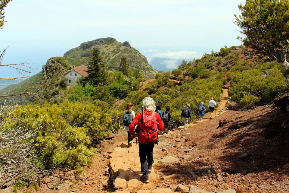 From Funchal: Madeira Peaks Mountain Walk - Pricing and Booking Information