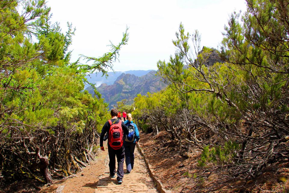 From Funchal: Madeira Peaks Mountain Walk - Highlights of the Trek