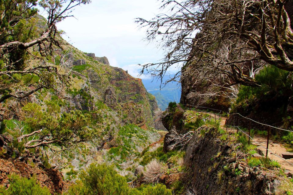 From Funchal: Madeira Peaks Mountain Walk - Frequently Asked Questions