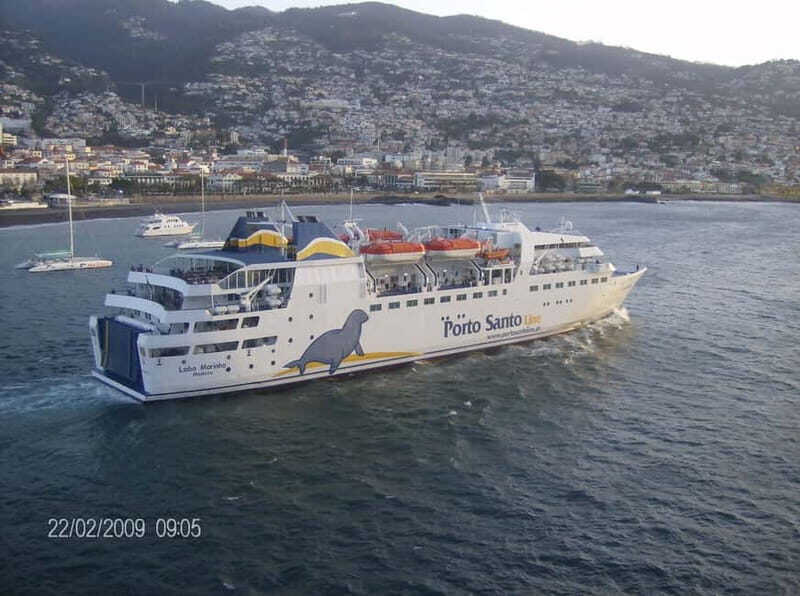 From Funchal: Porto Santo 1-Day Cruise and Tour - Final Thoughts