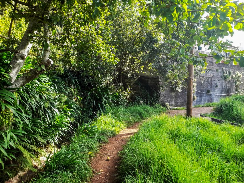 From Funchal: Sunrise at Pico Do Arieiro With Breakfast - Exploring Paradise Valley