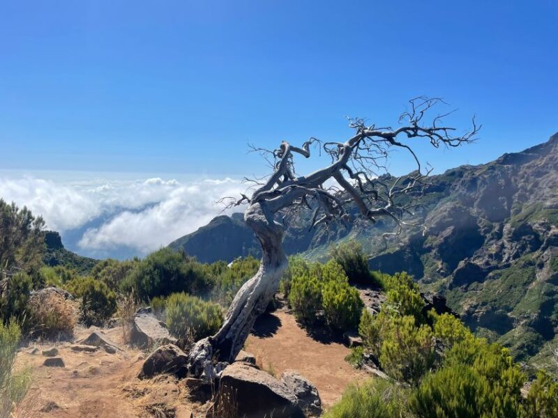 From Funchal: Transfer to Pico do Arieiro & Pico Ruivo Trail - FAQ