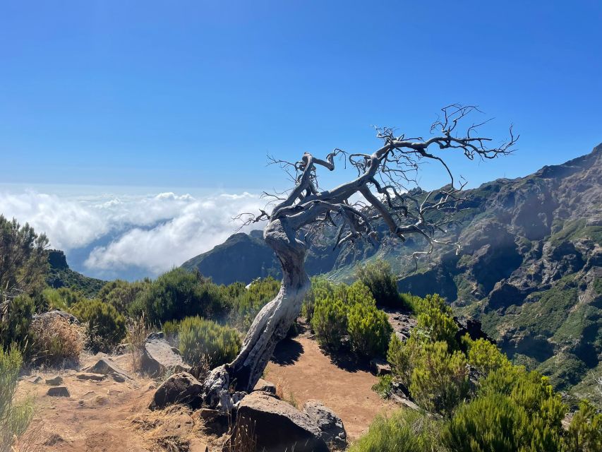 From Funchal: Transfer to Pico Do Arieiro & Pico Ruivo Trail - Customer Reviews