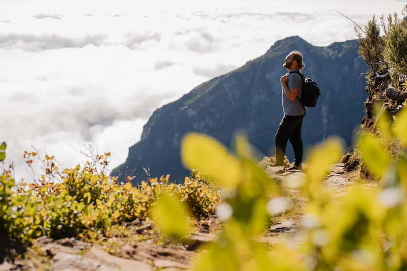 From Funchal: Transfer to Pico do Arieiro Trail - Key Points