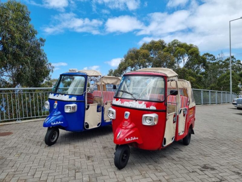 From Funchal: Tuk Tuk Tour to Camara de Lobos and Cabo Girao - Key Points