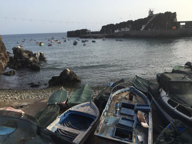 From Funchal: West Madeira and Laurel Forest Day Trip - Final Thoughts: Who Will Love This Tour?