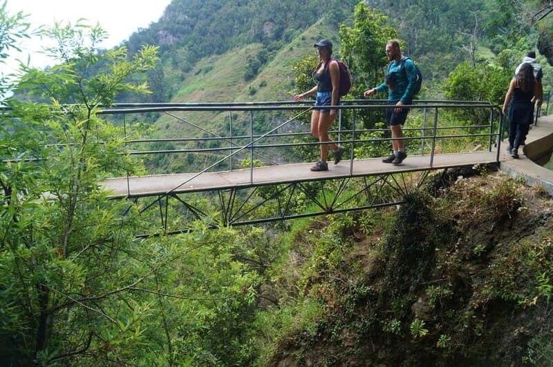From Funchal: Wet your hair in the amazing Moinhos Levada - Potential Drawbacks to Consider