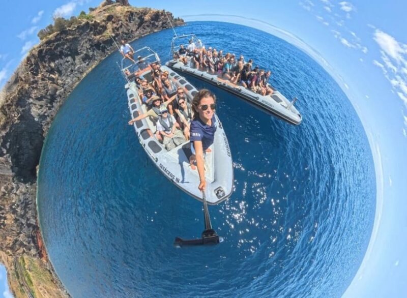 From Funchal: Whale and Dolphin Watching - Practical Tips for Travelers