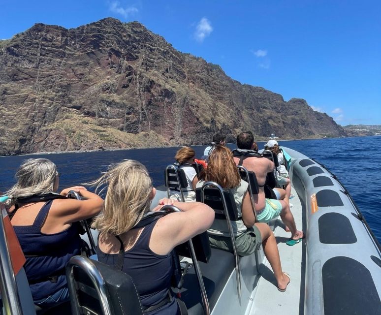 From Funchal: Whale and Dolphin Watching - Boat and Duration