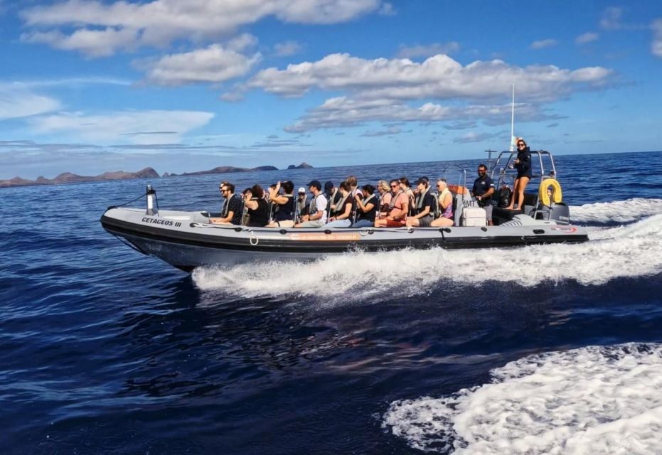 From Funchal: Whale and Dolphin Watching - What to Bring