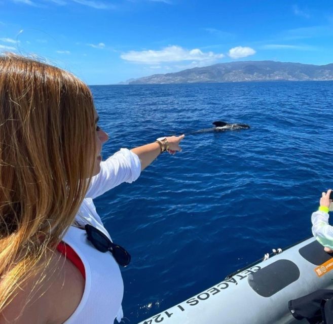 From Funchal: Whale and Dolphin Watching - Restrictions