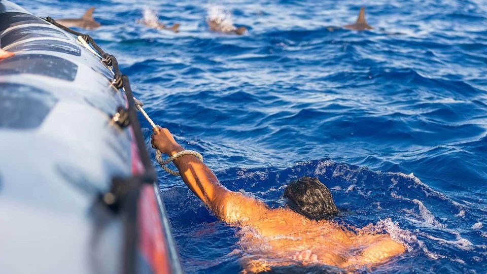 From Funchal: Whale and Dolphin Watching - Frequently Asked Questions