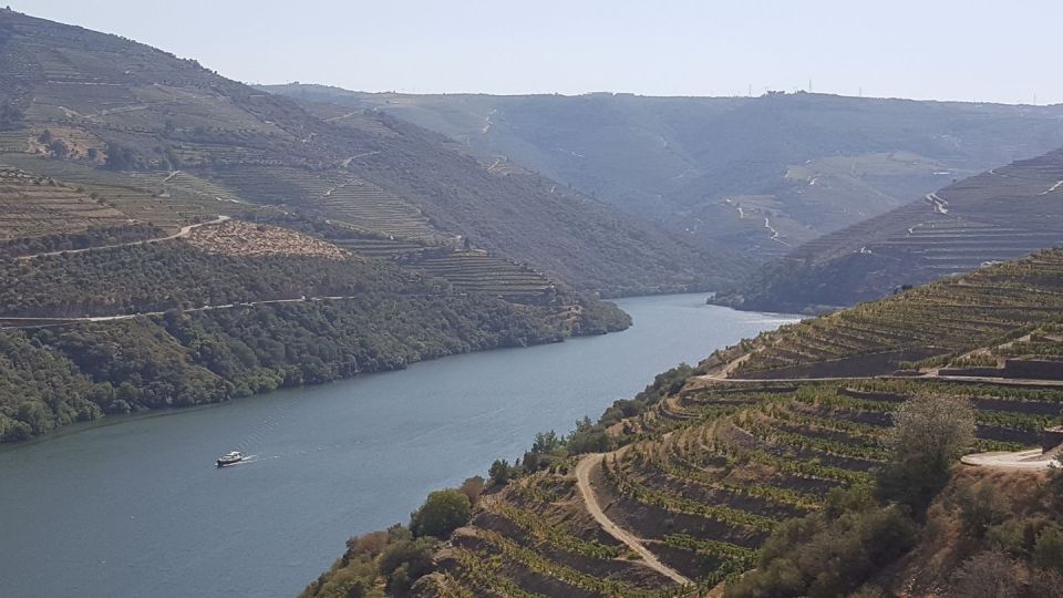 From Gaia Douro Valley Tour Wine Tasting River Cruise Lunch - Relaxing Douro River Cruise