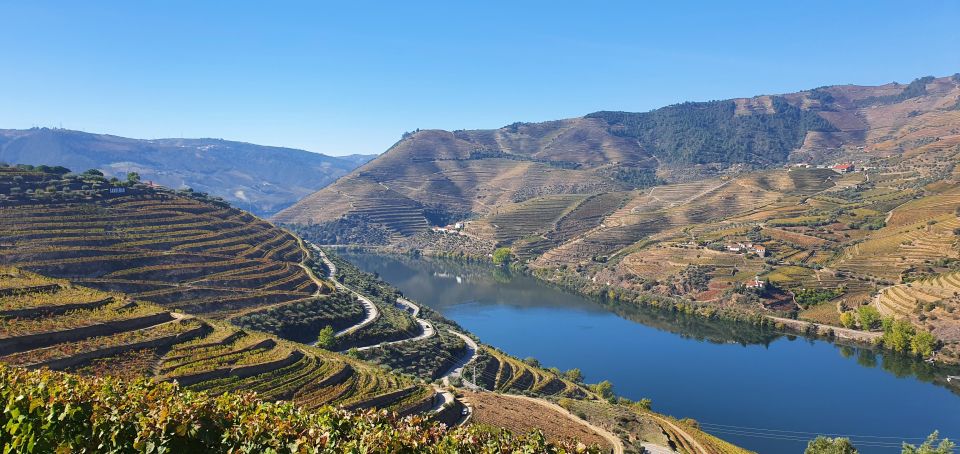 From Gaia Douro Valley Tour Wine Tasting River Cruise Lunch - Savoring Lunch in Sabrosa