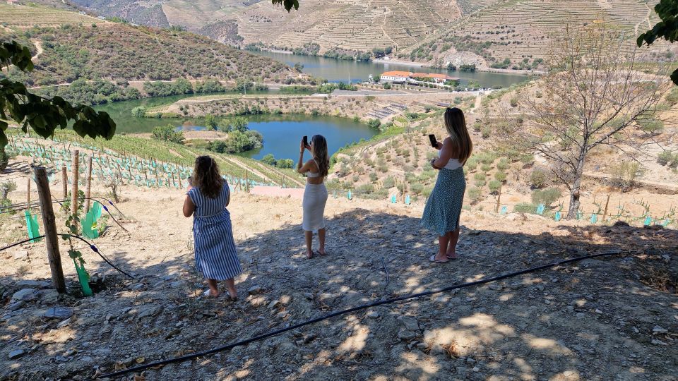 From Gaia Douro Valley Tour Wine Tasting River Cruise Lunch - Discovering Pinhãos Attractions